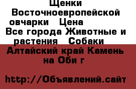 Щенки Восточноевропейской овчарки › Цена ­ 25 000 - Все города Животные и растения » Собаки   . Алтайский край,Камень-на-Оби г.